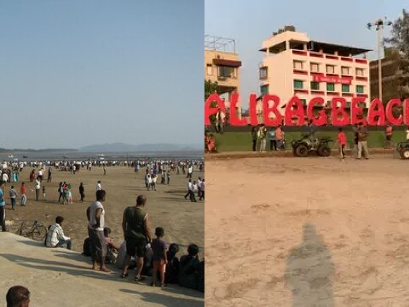 1756904157_pleximus in Alibag