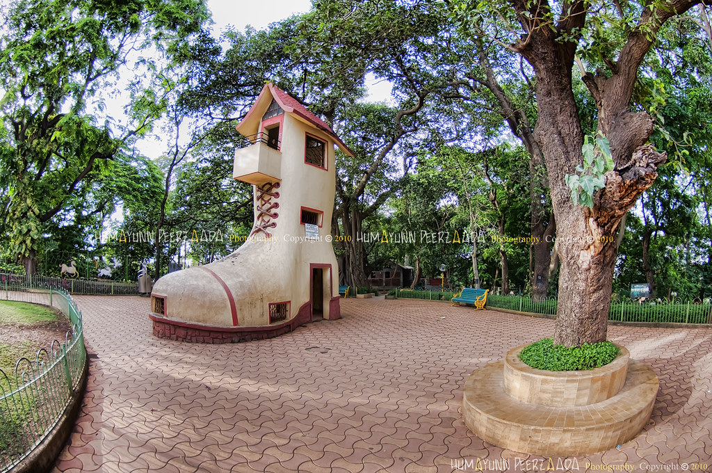 1757166210_pleximus in Malabar hill