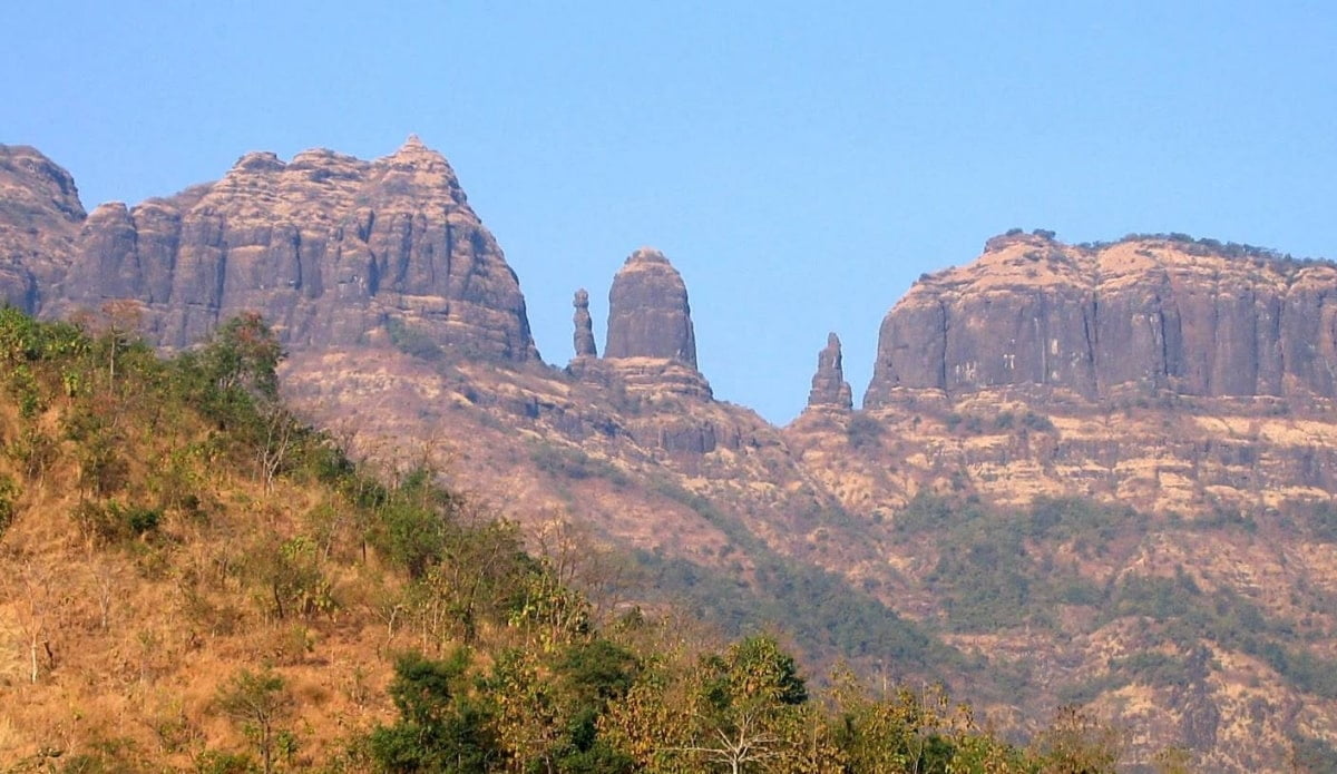 1757401406_pleximus in Shahapur